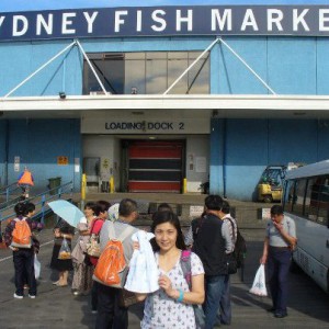 MiosanFishmarket