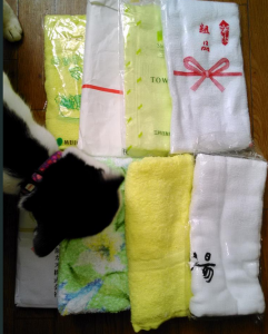 IefujisanTowel17June