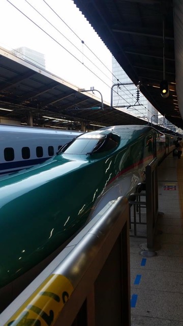 TakakosanTripShinkansen